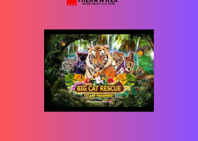 Game Slot Online “Big Cat Rescue Megaways” dari Red Tiger
